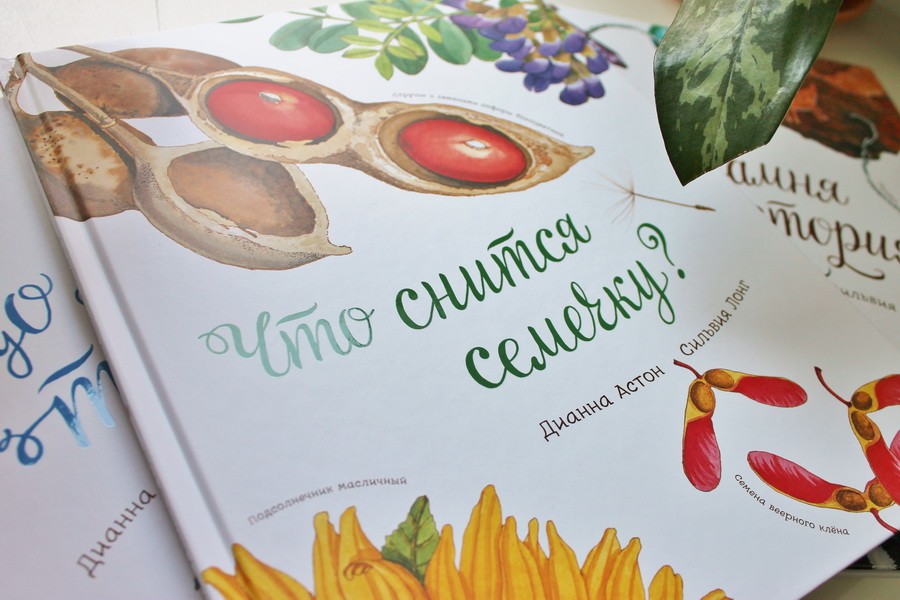 "Wat een droom een ​​zaadje": plantkunde voor de kleinsten