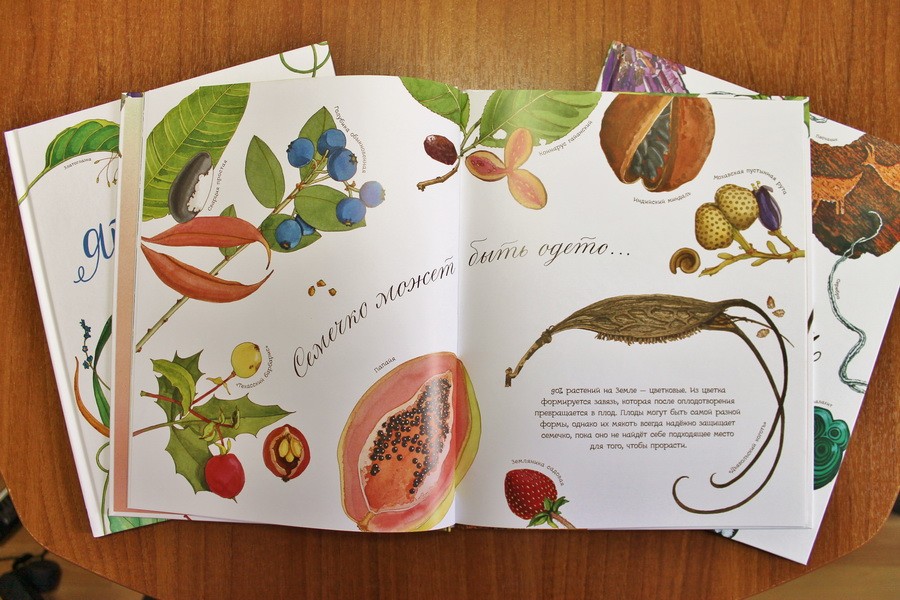 "Wat een droom een ​​zaadje": plantkunde voor de kleinsten