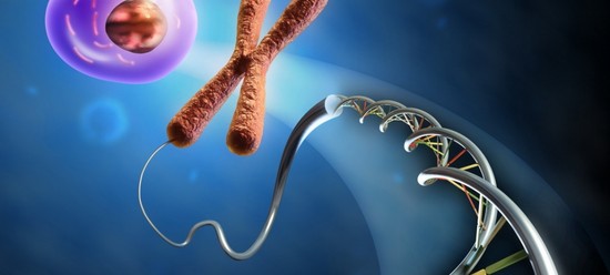 Karyotyping-echtgenoten, of Hoe de geboorte van een gezonde baby te plannen
