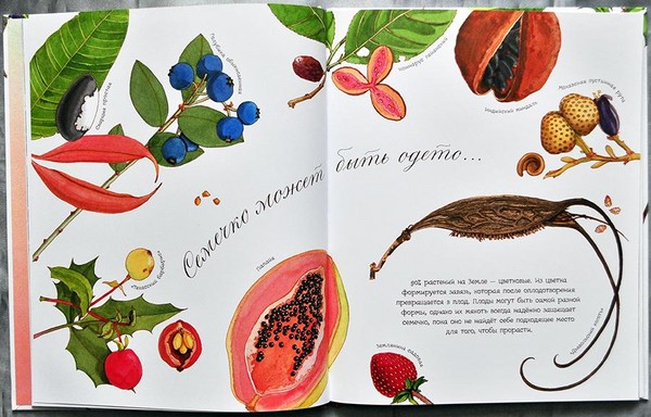 Kevers, kuikens, vlinders. We bestuderen de natuur samen met kinderen