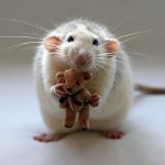 Ziekten van ratten