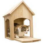 Hoe maak je een huis voor een kat Hoe maak je een huis voor een kat