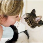 Tumor bij een kat