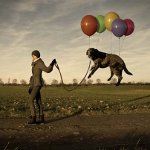 Wandelen met een hond