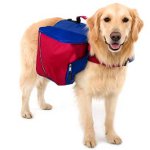 Rugzak voor een hond Rugzak voor een hond