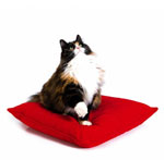De meest-katten