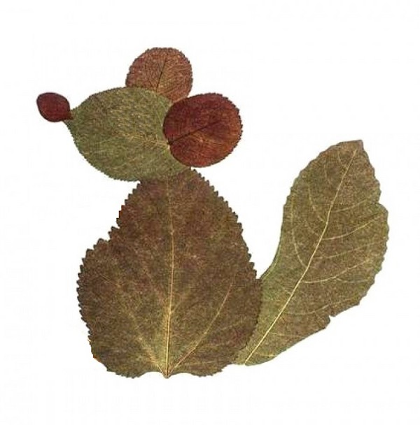Applique van herfstbladeren voor kleuterschool en 1-2 klassen van school, hoofdklassen met foto en video