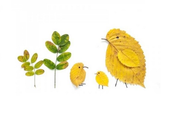 Applique van herfstbladeren voor kleuterschool en 1-2 klassen van school, hoofdklassen met foto en video