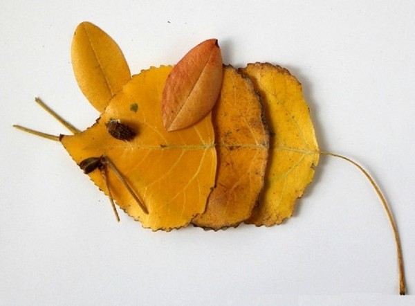 Applique van herfstbladeren voor kleuterschool en 1-2 klassen van school, hoofdklassen met foto en video