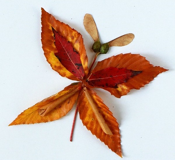 Applique van herfstbladeren voor kleuterschool en 1-2 klassen van school, hoofdklassen met foto en video