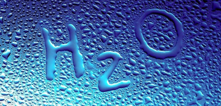 Wat kan er vanaf het water worden gedaan: we maken lizuna