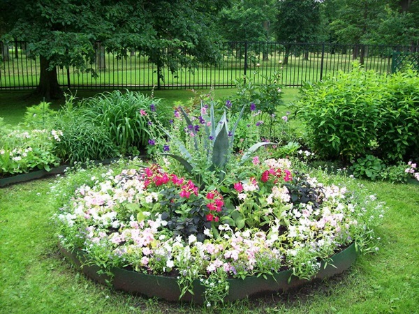 Mooie bloemen voor een bloembed