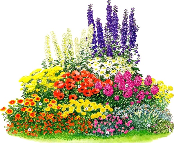 Mooie bloemen voor een bloembed