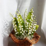 Bloemen van koud porselein Bloemen van koud porselein