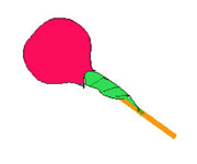 Bloemen van snoepjes