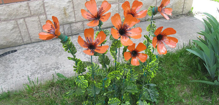 Bloemen uit plastic flessen: een masterclass voor het met eigen hand maken van kunstnijverheid