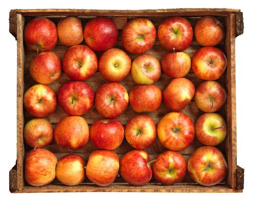 Hoe je appels thuis in de winter kunt houden