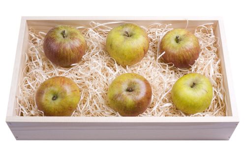 Hoe je appels thuis in de winter kunt houden