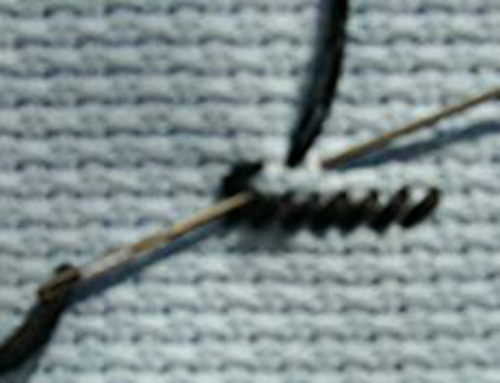 Tapestry stitch: meesterlijke klasse borduurwerk