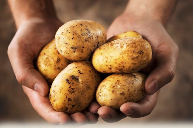 Aardappelen bewaren in de winter