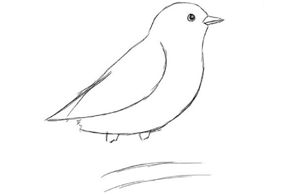 Hoe je een vogel in etappes tekent met een potlood