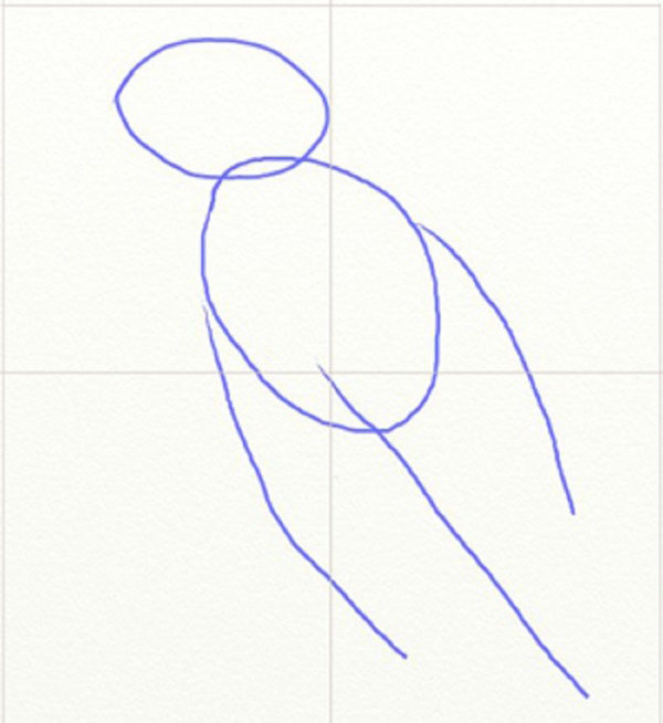 Hoe je een vogel in etappes tekent met een potlood