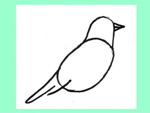 Hoe je een vogel in etappes tekent met een potlood