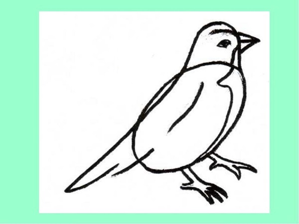 Hoe je een vogel in etappes tekent met een potlood