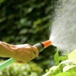 Hoe de aardappels water geven - video Hoe de aardappels water geven - video