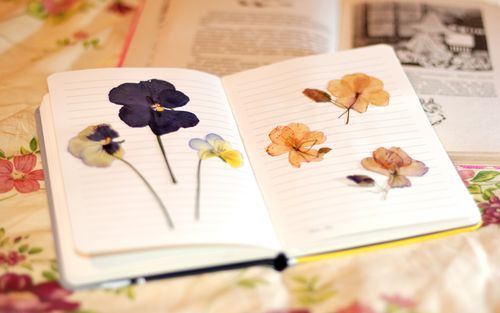 Hoe bloemen te drogen voor een herbarium