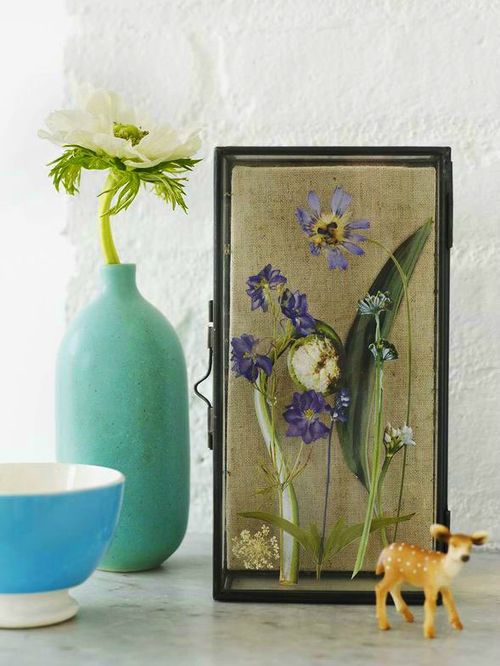 Hoe bloemen te drogen voor een herbarium
