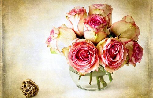 Hoe bloemen te drogen voor een herbarium