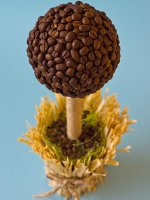 Hoe een koffieboom te maken