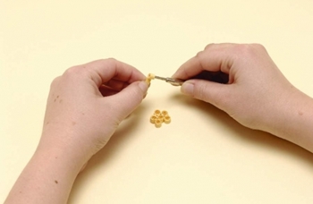 Quilling bloemen van papier voor beginners