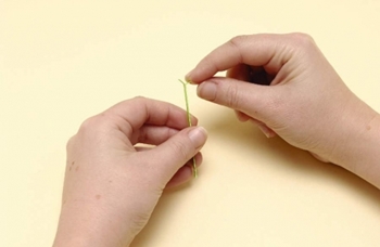 Quilling bloemen van papier voor beginners