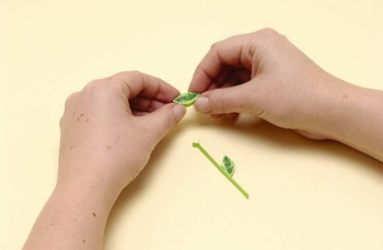 Quilling bloemen van papier voor beginners