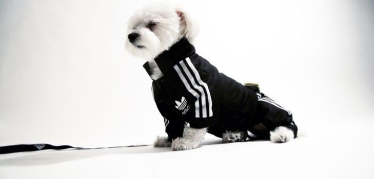 Warm fleece overall voor een hond