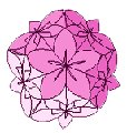Kusudama-papier