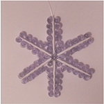 Quilling sneeuwvlok