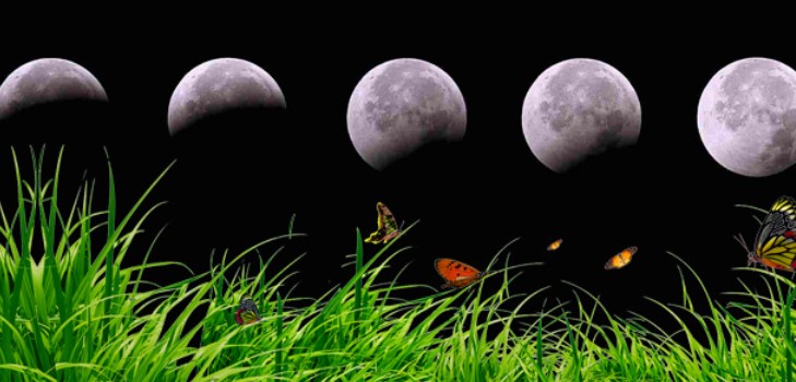 Lunar kalender vrachtwagen boer voor augustus 2016 voor de regio Moskou, de middelste zone van Rusland, de Oeral, Siberië, het noordwesten, Wit-Rusland en Oekraïne