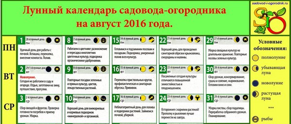 Lunar kalender vrachtwagen boer voor augustus 2016 voor de regio Moskou, de middelste zone van Rusland, de Oeral, Siberië, het noordwesten, Wit-Rusland en Oekraïne Lunar kalender vrachtwagen boer voor augustus 2016 voor de regio Moskou, de middelste zone van Rusland, de Oeral, Siberië, het noordwesten, Wit-Rusland en Oekraïne