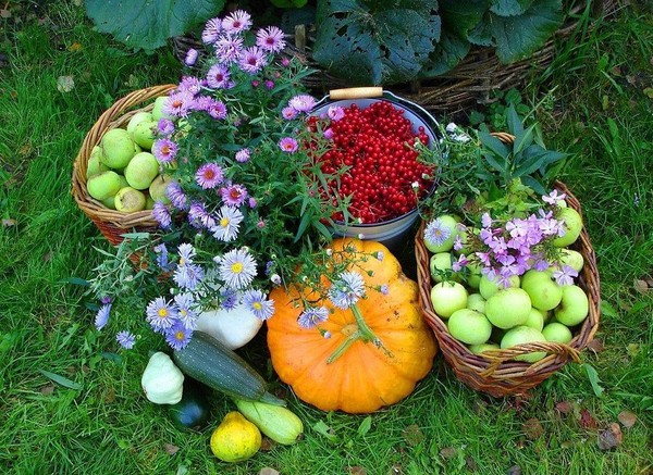 Maankalender van de vrachtwagenboer voor september 2016 voor Moskou, Noordwest, Oeral, Siberië, Oekraïne, Wit-Rusland