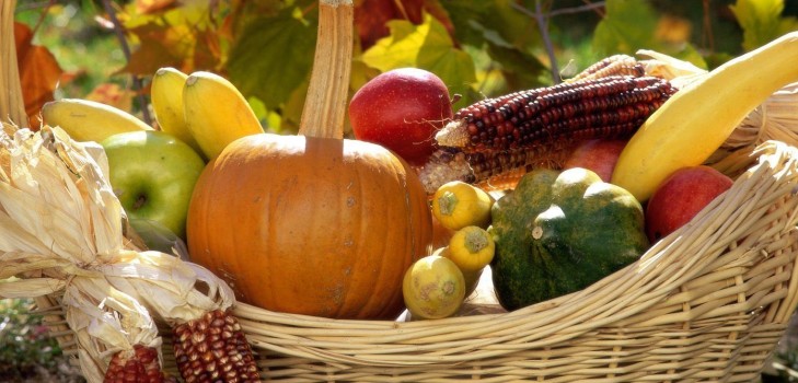 De maankalender van de tuinbouw-tuinier in oktober 2015