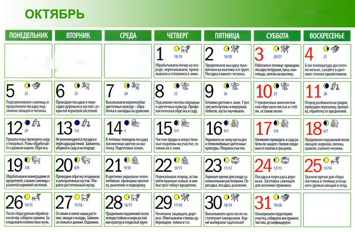 De maankalender van de tuinbouw-tuinier in oktober 2015