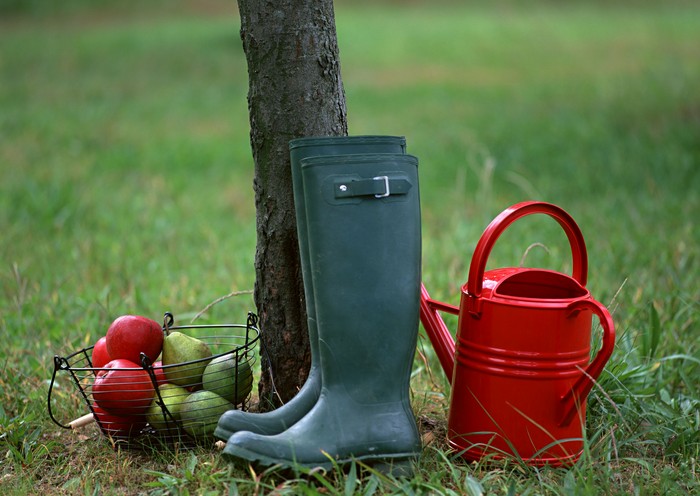 De maankalender van de tuinbouw-tuinier in oktober 2015