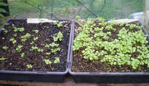 Maankalender van de tuinman en vrachtwagenboer 2015