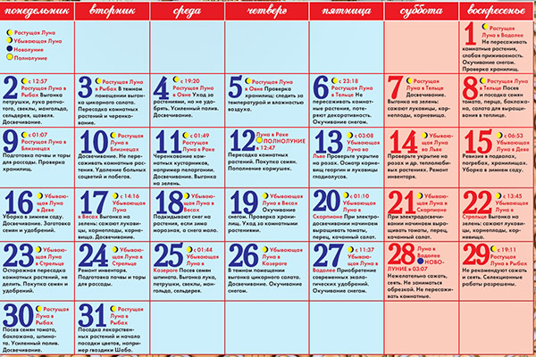 Lunar zaaikalender voor januari 2017 in de tabel voor tuiniers en vrachtwagenboeren. Gunstige plantdagen voor tomaten (tomaten) voor maanzaailingen-2017