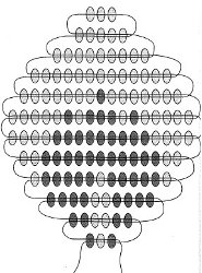 Het schema van rozen van kralen