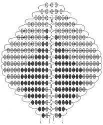 Het schema van rozen van kralen