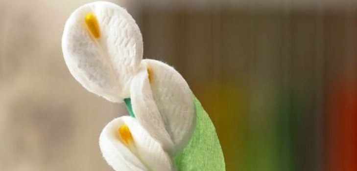 Bloemen van watten met hun eigen handen